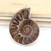 Collares pendientes 100-Unique 1 Pcs Chapado en plata Forma irregular Ammonite Reliquiae Joyas personalizadas