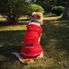 Dog Apparel 5XL RAIKAT DELLOCTION DOGS for Small Large Clarting Closet