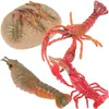 Décorations de jardin Jouets pour tout-petits Modèle de homard en plastique Simulation Cycle de vie Puzzle Modèles de croissance Accessoires d'enseignement amusants