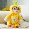 Chien Vêtements Pet Roman Costume Automne Hiver Moyen Petit Vêtements Halloween Chandail Vacances Fête Chaton Chiot À Capuche Chihuahua Yorkshire