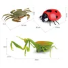 ElectricRC Animals Simulation RC Animal Insect Infrared Electric Remote Control Crab Kids Toy Birthday Novelty Gift 230801