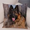 Housse de coussin/décorative pour animaux de compagnie, housse de coussin pour chien de berger allemand, pour canapé, décoration de maison