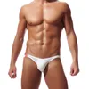 Underpants 5pcs Sexy Men s Briefs Soft Breathable Silk Underwear Hips Up Transparent Jockstrap Colorful Undies Cueca E 043 230802