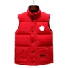 Designer Down Vest Pocket Jackets Hoogwaardige NFC Dames Parka Mouwloze puffer jas Zipper Badges Men Downs Vesten S-2xl