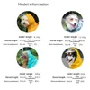 Hundebekleidung Regenmantel Haustier Outdoor wasserdichte Kleidung Regenjacke mit Kapuze für kleine große Hunde Mode Welpen Poncho
