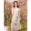 Abbigliamento etnico Mezza manica Yai Gilrs Tradizione Vietnamita Ao Dai Dress229L