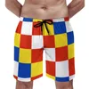 Shorts pour hommes Anime Plage Drapeau D'Anvers Lâche Stretch Causal Top Qualité Hawaï Pantalon Basket-Ball Réglable Cordon Breathab