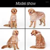 Vêtements pour chiens imperméable transparent grand animal de compagnie de taille moyenne vêtements imperméables veste pluie fournitures essentielles