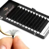 Easy Winky Beauty Lashes Extensions Fãs Falsa Flor Flowering Auto Fan Slashes Blooming Volume Cilios x0802