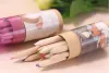 New Secret Garden Coloring Pencils Enchanted Forest Painting Pens Colored Pencils Creative Writing Tools 12 colors Colouring Pencils LL