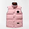 Designer Down Vest Pocket Jackets Hoogwaardige NFC Dames Parka Mouwloze puffer jas Zipper Badges Men Downs Vesten S-2xl