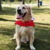 Собачья одежда 5xl Raincoat Offerice Dogs для маленькой большой водонепроницаемой одежды золотисто -ретривер Labrador Raine Pet Products