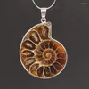 Collares pendientes 100-Unique 1 Pcs Chapado en plata Forma irregular Ammonite Reliquiae Joyas personalizadas