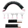 Falska ögonfransar 1: s Blossom Camellia Eyelashes Easy Fan Volume Lashes CD Curl Individiga fransar Black Mink False Eyelashes Fake Cilios 12Rows X0802