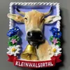 Koelkastmagneten Oostenrijk 3D Toeristische Souvenirs Ambachten Koelkastmagneet Decoratie Artikelen Handwerk Geschenken 230802