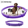 Dog Collars 62cm Pet Calm Collar Relieve Anxiety Cat And Pacify Adjustable TPR Neck Strap Remove Restlessness Protection Supplies