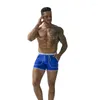 Herenbadmode Sale Heren Bikini Zwemkleding Blauw Rood Zwembroek Gay Underpants Zwembroek voor heren Waterdicht