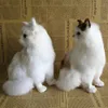 Pluszowe lalki Śliczne koty zabawki Kreatywna imitacja symulacja kota mini ozdoby dzieci prezenty urodzinowe