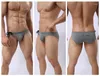 Underpants Brand BRAVE PERSON Gay Underwear Men's Nylon Solid Beachwear Men Sexy Bikini Low Rise