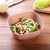 Kaseler Çevre Dostu Mutfak için Kırılmaz Çok Fonksiyonlu Tanda Takımı Meyve Kase Kare Plastik Salata Malzemeleri