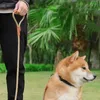 Collares para perros Correa Cuerda de entrenamiento para mascotas altamente reflectante Correa suave resistente a la tracción y al desgaste para dueños de perros