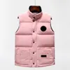 Piumini firmati Tasca giacche NFC di alta qualità Parka da donna senza maniche Piumino con cerniera Distintivi con cerniera Cappotto casual da uomo Gilet d'oca