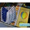 Autocollants de jouets pour enfants 4pcsset Attaque sur Titan Survey Corps Wings Autocollants en tissu Anime Ver. Recon Corps Emblème Shingeki no kyojin Cosplay Bleu Badges 230802
