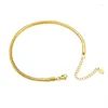 Anklets Wholesale Fashion Feet Jewelry 18k Gold Plated Stainless Steel Snake Chain Women