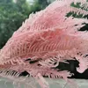 Decorative Flowers 8pcs/30-35cm Nature Preserved Osmunda Japonica Bouquet Eternal Fern Leaf DIY Glass Cover Floating Flower Material Wedding