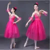 Scenkläder vuxen lång balett kjol gasväv övning klänning dance liten swan sjö kostym