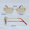 Iced Out Lunettes de soleil Lentille photochromique Changement de couleur Lentilles de deux couleurs Lunettes 4 saisons Strass de luxe interchangeables Carter Eyewear Gafas De Sol