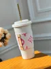 700ml Cups and Straws Set Ceramic Cup with Canvas Cup Cover and Removable Silicone Lid