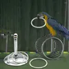 Inne ptaki dostarcza metalowe papugi Interaktywne trening zabawki Inteligencja rozwój zestawu Pierścień Pierścienia