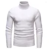 Pulls pour hommes automne hiver hommes pull à col roulé 6431