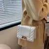 Çantalar Kadınlar 2022 Yeni Kore Moda Nakış Zinciri Crossbody Feet Kırmızı Doku Kilit Toka Bir Omuz Küçük Kare Bagstylishhandbagsstore