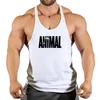 Herrtankstoppar märke djur gym topp män fitness kläder herrar bodybuilding sommar för manlig ärmlös västtröja 230802
