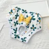 Abbigliamento per cani Pannolini Pantalone fisiologico Fiore Pannolino Abbigliamento Cucciolo Mutandine da donna Pantaloncini Biancheria intima Principessa Pet