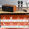 Microphones Karaoke Home System Machine With 2 Cordless Microphone Independent DSP Built-in Sound Card MIC Bluetooth Speaker Sing