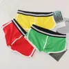 Mutande Uomo Colorato Sport Cotone Boxer Sexy Uomo Intimo Mutandine Pantaloncini Boxer