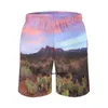 Shorts pour hommes désert coucher de soleil gymnase été Cactus paysage planche décontractée pantalons courts hommes surf séchage rapide imprimé maillot de bain