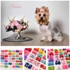 Ropa para perros 10pcs 20pcs/lote Bows Bows Roma Colors Mixed Crooming Hecho a mano para Pet Puppy Bowknot Mini Accesorios