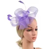 Bandanas Bridal Hair Pin Fascynator Hats Clip Retro Women's Women's Fascynatory