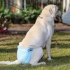 犬のアパレル3PCSおむつ洗浄可能なラップメス犬の再利用可能なおむつ通気性ラップパック3