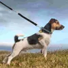 Colliers de chien Extension Lungee Attachement en nylon Réflexion Marcher en cours d'exécution pour les petits et moyens chiens