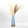 Decoratieve Bloemen Boho Home Style Decor Boeket Bruiloft Bloemstukken Natuurlijk Gedroogd Pampas Gras Phragmites Accessoires