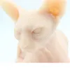 Other Permanent Makeup Supply Premium Quality Realistic Tattooable Rubber Cat Model For Tattoo Practice And Display Simulates Real Skin 230809