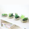 Decorative Flowers Simulation Of Potted Plants Tabletop Artificial Set Stone Vase Indoor Greenery Succulents Wedding Home Decoration