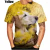 T-shirts pour hommes mode Golden Retriever 3D imprimé T-shirt été décontracté hommes/femmes Hip Hop respirant à manches courtes