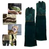 Fournitures pour petits animaux gants de manipulation en cuir Anti-saisir Anti-morsure de protection chat chien serpent jardinage animaux 230802