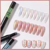 Nail Glitter Neon Aurora Powder Air Cushion Pen Transparent Art Chrome Mirror Powders holografiska manikyrtillbehör 230802